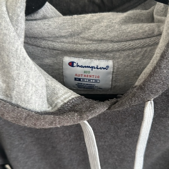 Grey Champion Hoodie - Picture 2 of 4
